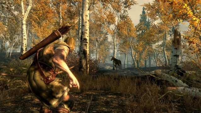 скриншот игры Skyrim скриншот игры Skyrim