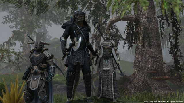 The Elder Scrolls Online — отзывы бета-тестеров